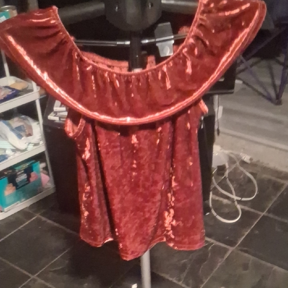 Elegant Red Velvet Top Size L – Zoe and Rose, Holiday Festive, Stretchy - Picture 6 of 6